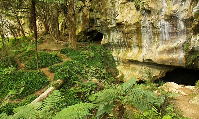 The Waipu Caves are about twenty kilometers from Whangarei.