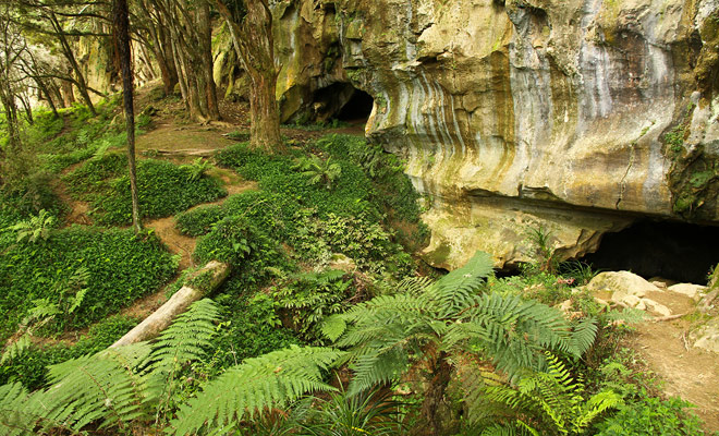 The Waipu Caves are located between Whangarei and the city of Waipu and it is only a short 20 km drive.