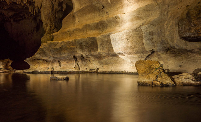 Depending on the weather, it would be best to wear plastic boots or sandals to explore the Waipu Caves as the soil may be wet or under water. The flashlight is essential!