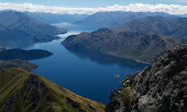 Mountain chains give rise to microclimates.