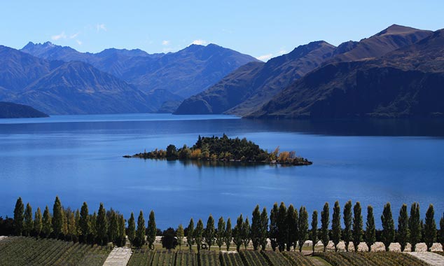 Ruby Island aperçue du haut de Rippon Vineyard.