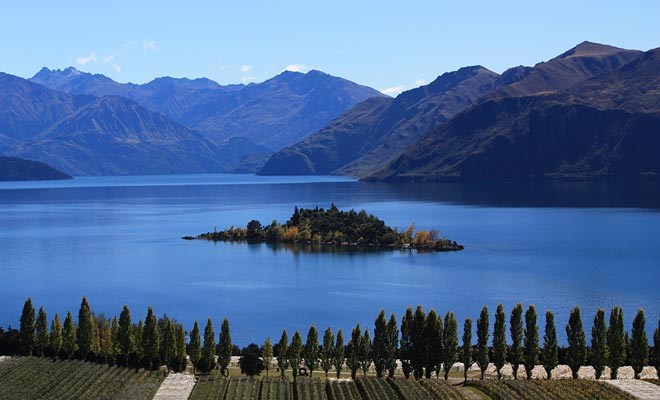 The island that we see from the top of Rippon Vineyard is called Ruby Island, in homage to a famous cabaret dancer from the region.