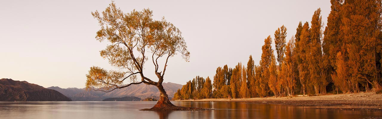 Wanaka is a city of Otago famous for its landscapes.