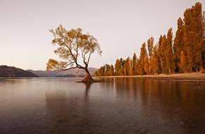 Wanaka is a city of Otago famous for its landscapes.
