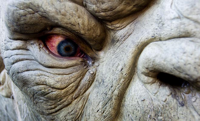 La mauvaise réputation des Kiwis sur la route est due à une minorité de chauffards qui sont habitués à rouler vite sur de grandes routes désertes. Pour le voyageur déjà stressé par la conduite à gauche, l'expérience est désagréable.