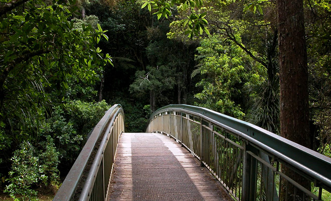 To get to the Whangarei Falls, just follow a short walk and a bridge that crosses the Hatea River.
