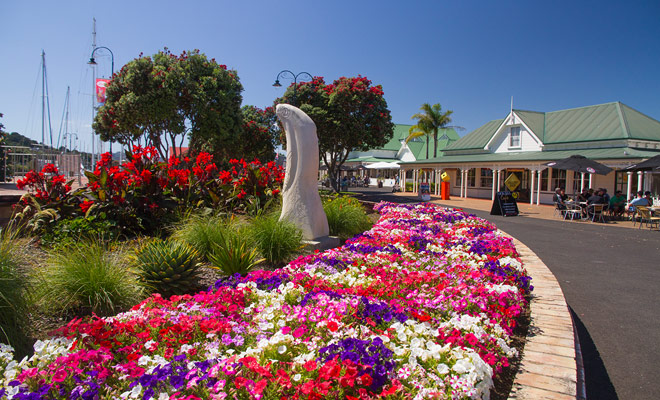 Whangarei is a very flowery town where it is good to stroll near Town Basin, especially during the summer months. It is a very engaging city from which it is difficult to leave.