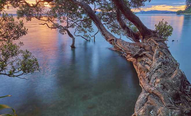 Whangarei is an unmissable stop on the North Island of New Zealand. A step you could include in your itinerary if you are going to Bay of Islands or Cape Reinga.