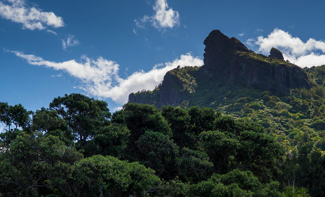 At a height of 403 meters, Mount Manaia was bron during ancient volcanic eruption, but in Maori legend it is both a half-fish and a bird monster.