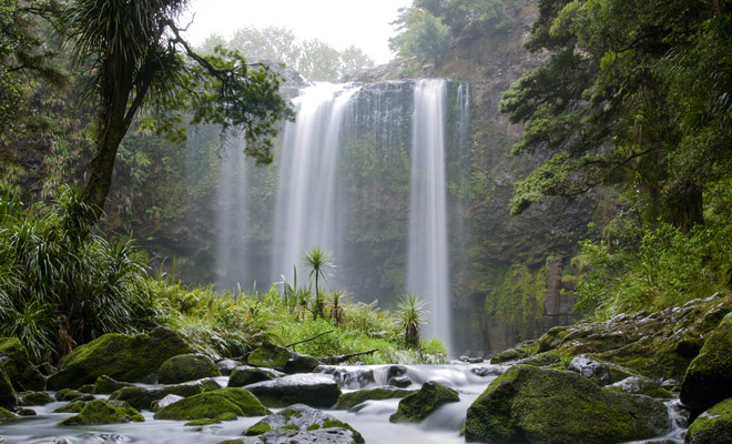 Impossible to visit Whangarei and its region without visiting the famous falls of the same name. In the heart of the forest, the Whangarei Falls are beautiful, whatever the weather.