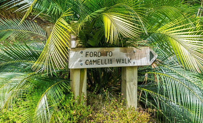 The Quarry gardens are tropical gardens that are maintained by volunteers. There is also a small cafe onsite.