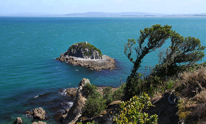 The small islands that you can admire along the Whangarei Heads Road bear fun names like Limestone Island, Rat Island or Rabbit Island.