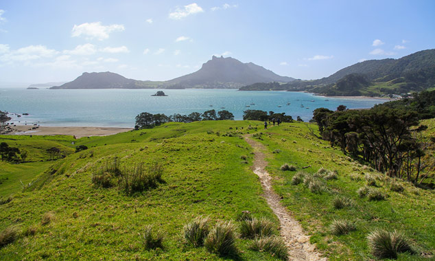 The hike to Smugglers Bay Loop Track takes about 45 minutes.