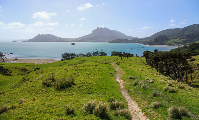 As the name suggests, the Smugglers Loop Track returns to its starting point. The 45 minute walk is not difficult and the setting is absolutely wonderful!