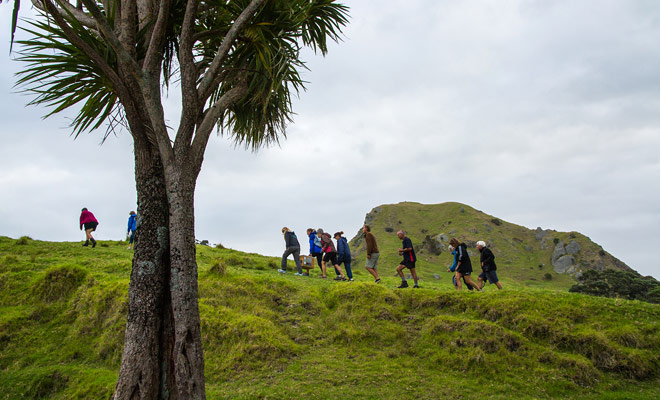 To attend a Kiwis release, you must be notified or register for a mailing-list on the site of an association. This way, you will be kept informed of upcoming events.