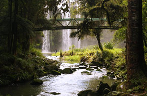 Whangarei Falls in Northland