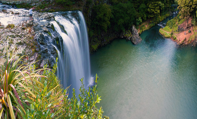 The Whangarei Falls are particularly photogenic falls that give rise to the Hatea River. Some people bathe in it despite the ban.
