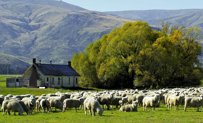 As a general rule, work takes place in the morning and leisure activities in the afternoon. But all arrangements are possible depending on the nature of the mission.