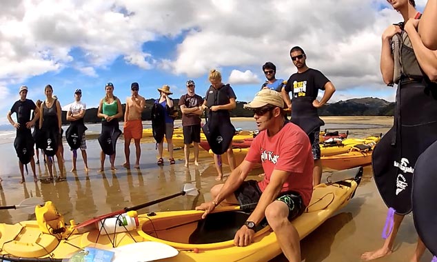 Formation au kayak et rencontre avec les otaries.