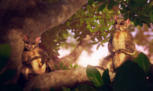A fun advertisement that features two possums in New Zealand.