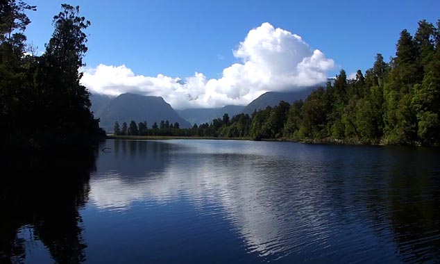 Overview of the giant eels of Lake Matheson.