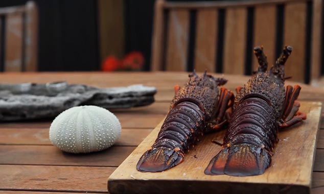 Kaikoura signifie « repas de langouste » en maori.