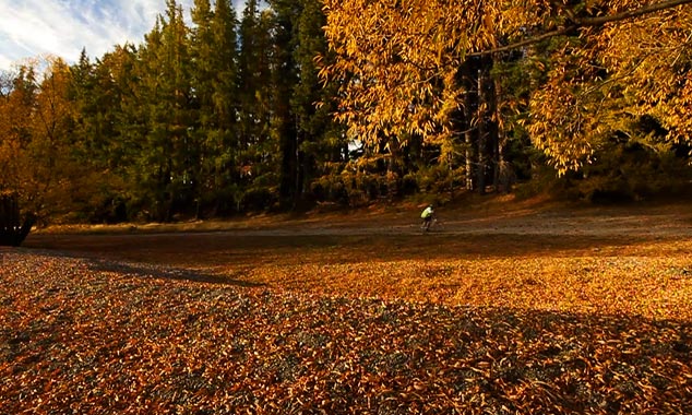 Meet the colorful landscapes of New Zealand in autumn.