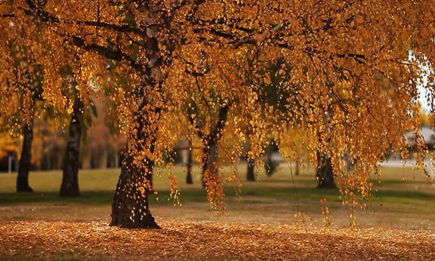 The country remains beautiful in autumn and winter.