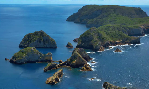 Discovery of diving in New Zealand.