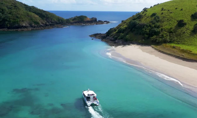 Swim with the dolphins of the Bay of Islands in the Northland.