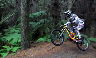 Attended bike competitions in the Redwood Forest.
