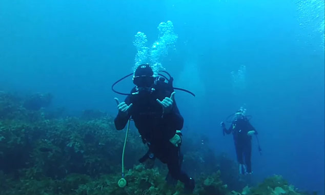 La plongée sous-marine aux Poor Knight Islands.
