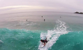 Sometimes the dolphins come to swim alongside the surfers in New Zealand.
