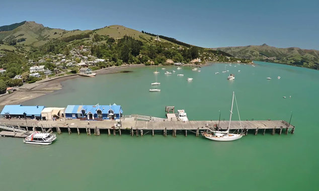 An excursion to go swimming with the dolphins of Akaroa (South Island).