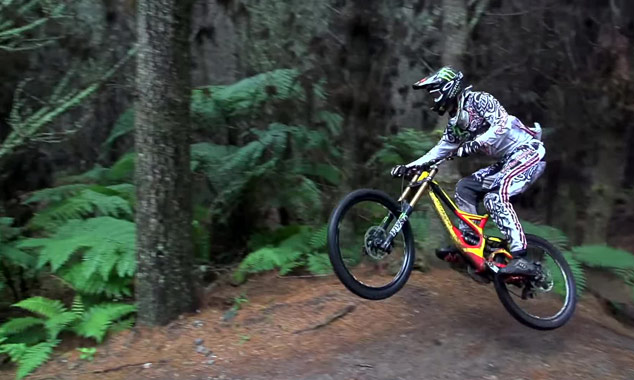 Une compétition de VTT sur les pistes de Redwoods.