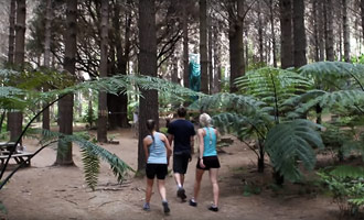 Introducing the Adventure Forest